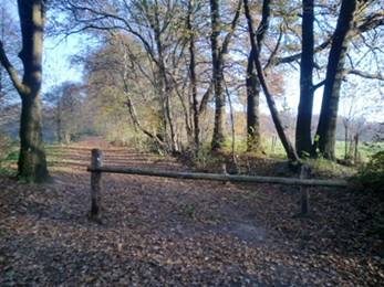 秋日湖邊散步。 045