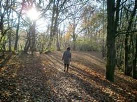 秋日湖邊散步。 037