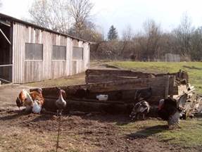 Description: G:\2�17dez\photo\20171208\100_0115a.JPG