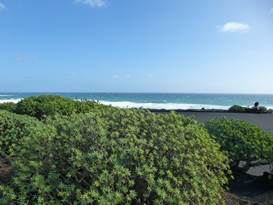 Description: G:\2018jan\photo\20180116\3地窖藝術與火山形成\P1200810a.JPG