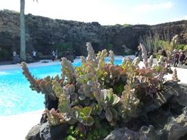 Description: G:\2018jan\photo\20180116\3地窖藝術與火山形成\P1200835a.JPG