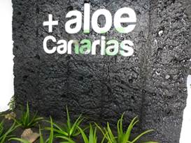 Description: G:\2018jan\photo\20180116\4汪達爾古城與蘆薈\P1200865a.JPG