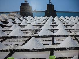 Description: G:\2018jan\photo\20180116\4汪達爾古城與蘆薈\P1200867a.JPG