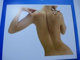 Description: G:\2018jan\photo\20180116\4汪達爾古城與蘆薈\P1200866a.JPG