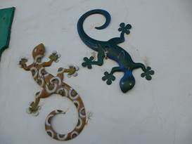 Description: G:\2018jan\photo\20180116\4汪達爾古城與蘆薈\P1200860a.JPG