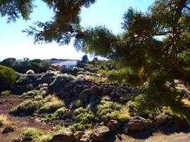 Description: G:\2018jan\photo\20180119\2\P1210019a.JPG