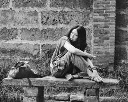 Description: G:\2018feb\photo\New folder (2)\sanmaoaa.jpg