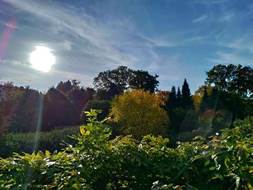 Description: G:\2018okt\photo\20181009\5a.jpg