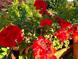 Description: G:\2018okt\photo\20181014\4a.jpg