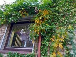 Description: G:\2018okt\photo\20181015\2a.jpg