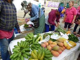 Description: G:\2018mai\photo\20180506\P1240652a.JPG