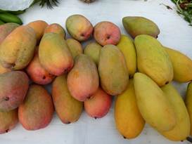 Description: G:\2018mai\photo\20180506\P1240653a.JPG