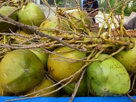 Description: G:\2018mai\photo\20180506\P1240655a.JPG