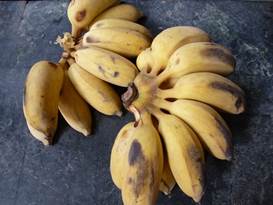 Description: G:\2018mai\photo\20180506\P1240656a.JPG