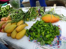 Description: G:\2018mai\photo\20180506\P1240646阿.JPG