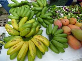 Description: G:\2018mai\photo\20180506\P1240650a.JPG