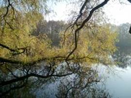 秋日湖邊散步。 021