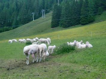 260410_140527546022367_55398_n