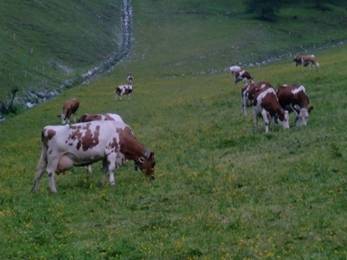 267749_140527866022335_981788_n