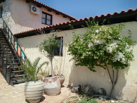 http://www.taiwannet.de/kreta46.jpg